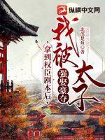 我拿了太子妃的剧本 一纸倾城
