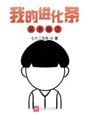 我的进化天贼