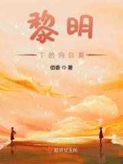 黎明向日葵