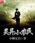 农民奇遇完结篇