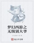 梦幻西游什么是无级别