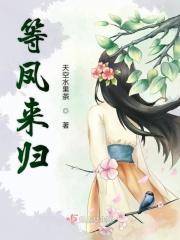 等风归什么意思
