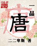 一品唐侯TXT