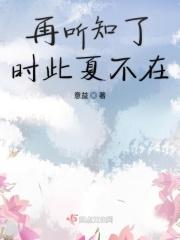 倾城之夏是什么意思