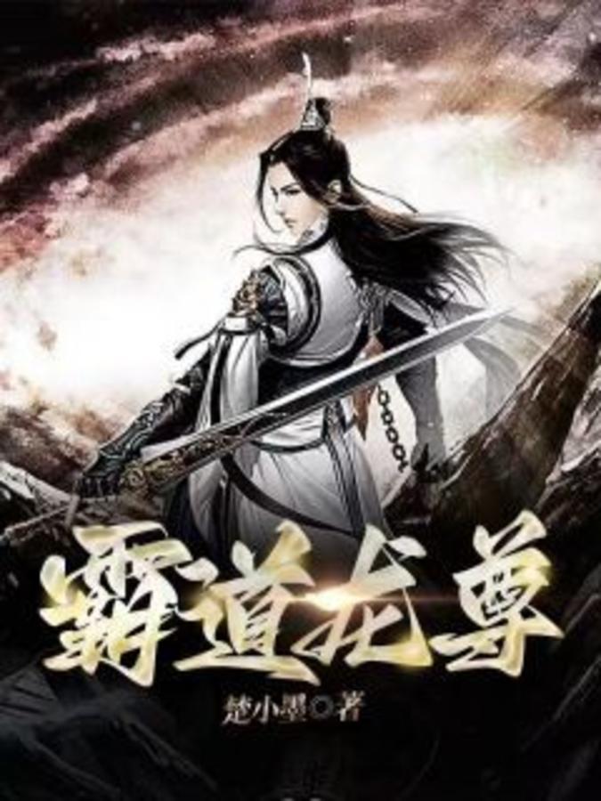 段飞的