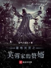 哈利波特芙蓉是哪个学院