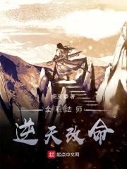 全职法师怎样