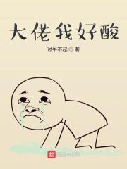 大佬太爱我了怎么办全文免费阅读