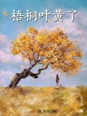 梧桐叶黄了发朋友圈