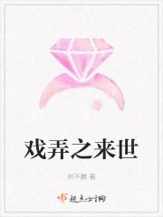 戏弄这歌表达什么意思
