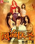 极品医圣全集