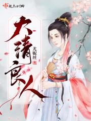 大清良妃传