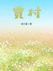 贾桂