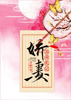 娇妻养成手册百度盘搜搜