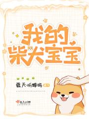 柴犬宝宝价格