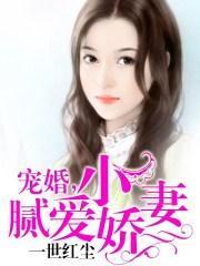 宠妻小甜心