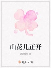 山上花儿开下一句是什么