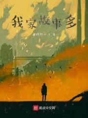 我家的故事作文