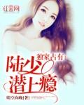 免费阅读陆少霸宠替嫁妻300