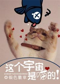 这个宇宙是谁创造的