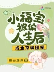 主人公是福宝的