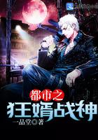 书名洪青烟洪镇国的