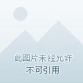 穿越绝色毒妃