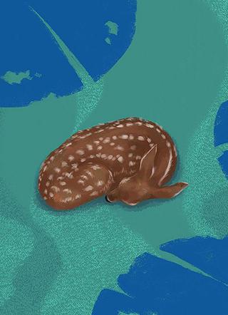 高调宠_