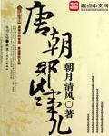 唐朝那些事4