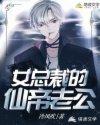 女总裁的仙帝保镖完整版