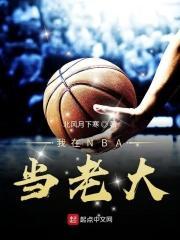 我在nba打球
