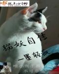 猫妖传全文免费阅读