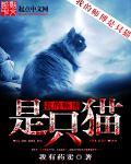 师傅是一只猫的漫画