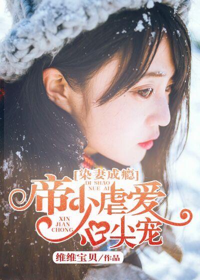 染爱成婚战少宠妻成瘾