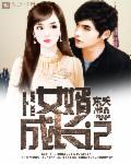 女婿的美好生活