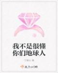 我不是那个懂你的人