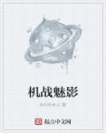 机战mx机体