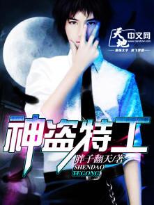 神偷特工免费观看