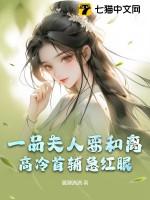 一品夫人txt