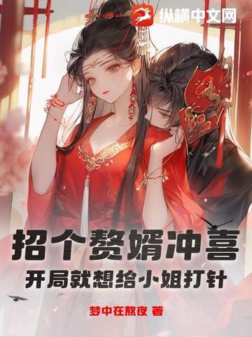 招赘婿我竟娶了个王爷