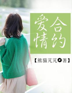 爱情合约林申版