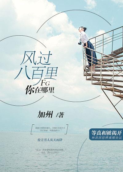 风吹过八千里歌曲意思