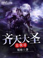 我是齐天大圣孙悟空啊是什么歌