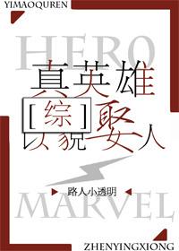 综真英雄以貌娶人无防盗