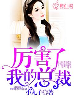 我的高冷总裁老婆风光守护