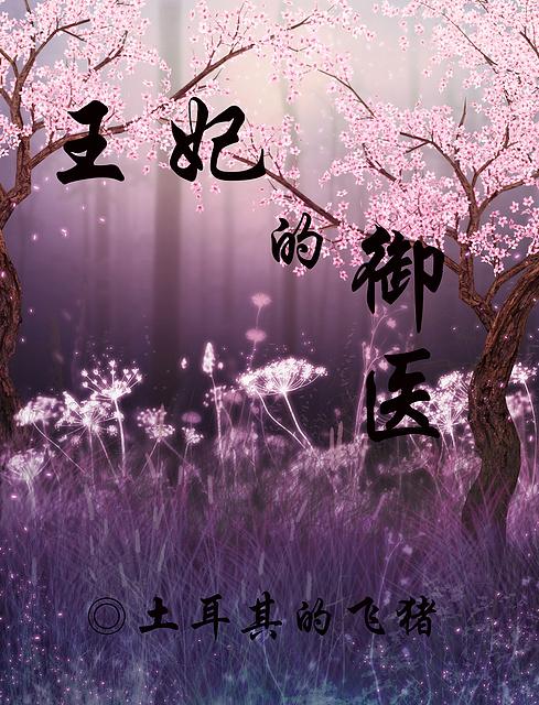 王妃的御医67章