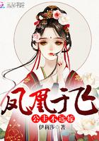 凤凰于飞全集