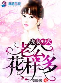 宠妻101式老公求轻吻