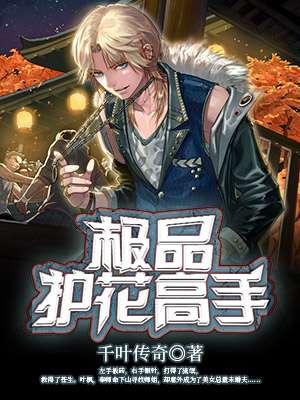 极品护花高手免费版