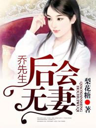 乔先生什么电视剧